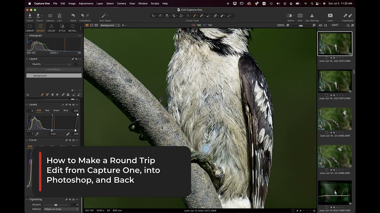 Round Trip Editing Between Capture One and Photoshop