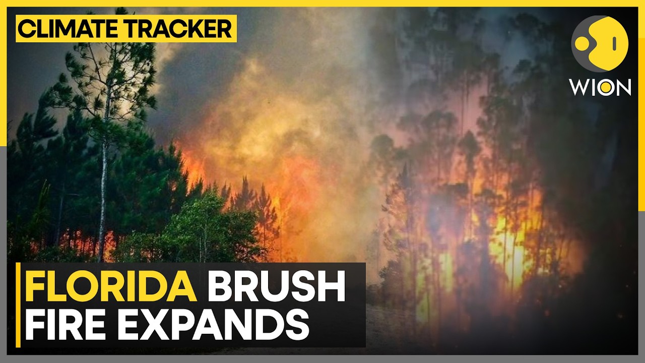 Florida Wildfire: Florida Faces Heightened Danger As Wildfire Explodes To 25,000 Acres | WION