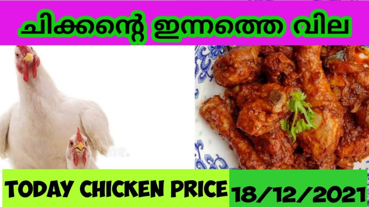 ചിക്കന്റെ ഇന്നത്തെ വില/Chicken Price Today/ Chicken Price Malayalam Broiler chicken Rate/18/12/2021