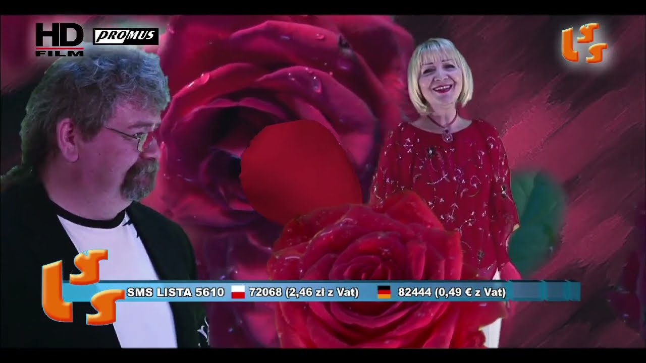 New For You, Ciernisto Róża - Szlagierowo.pl