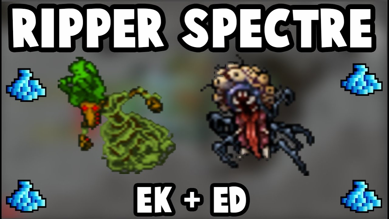 ZONAS DE HUNT DUO EK + ED | RIPPER SPECTRE 3.2KK EXP - 800K LOOT/H