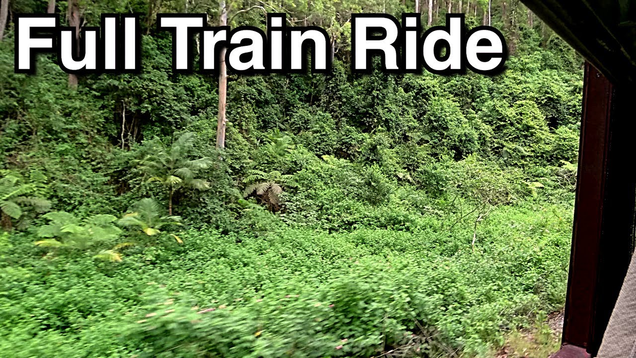 Vintage Railcar Ride Along! Rainforest Rattler from Bonville to Coramba