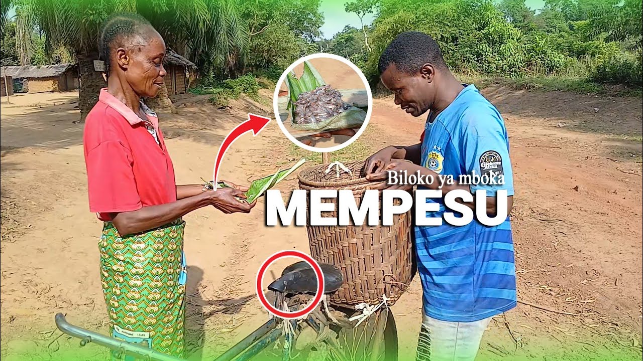 RETOUR AU VILLAGE : ÉQUATEUR PLAT PRÉFÉRÉ YABA VILLAGEOIS MEMPESU/ MPONDE😀😀😀