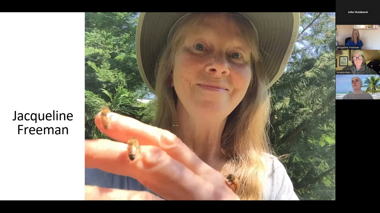 What Bees Want - A Conversation with Susan Chernak and Jacqueline Freeman