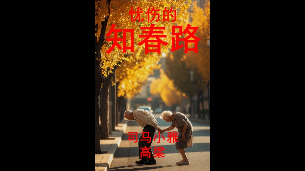 忧伤的知春路