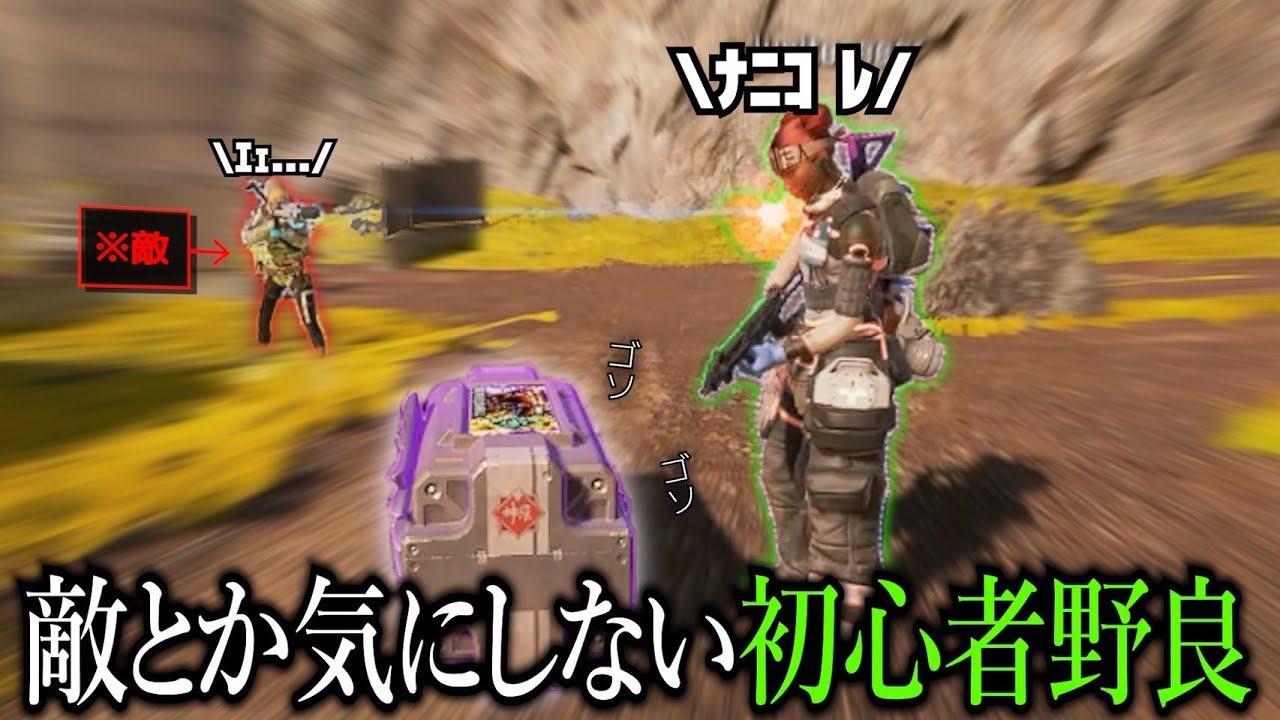 「のんびりな可愛い初心者」vs「それを全力で守る俺と野良」【APEX】