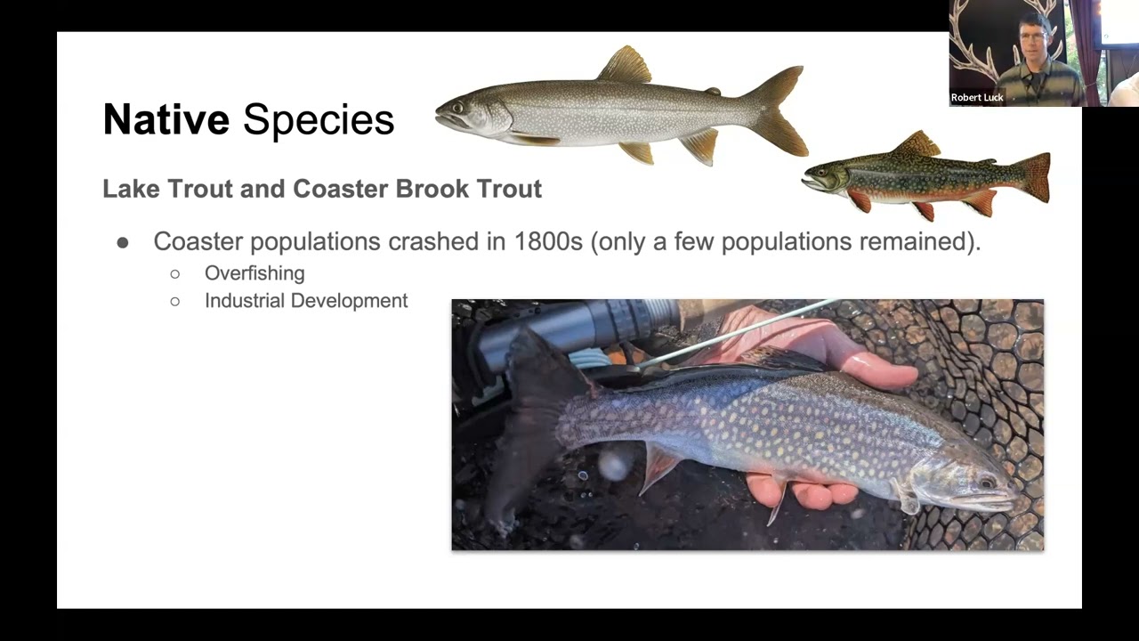 Targeting Migratory Trout in Lake Superior Tributaries--2025 09 TCTU Chapter Meeting