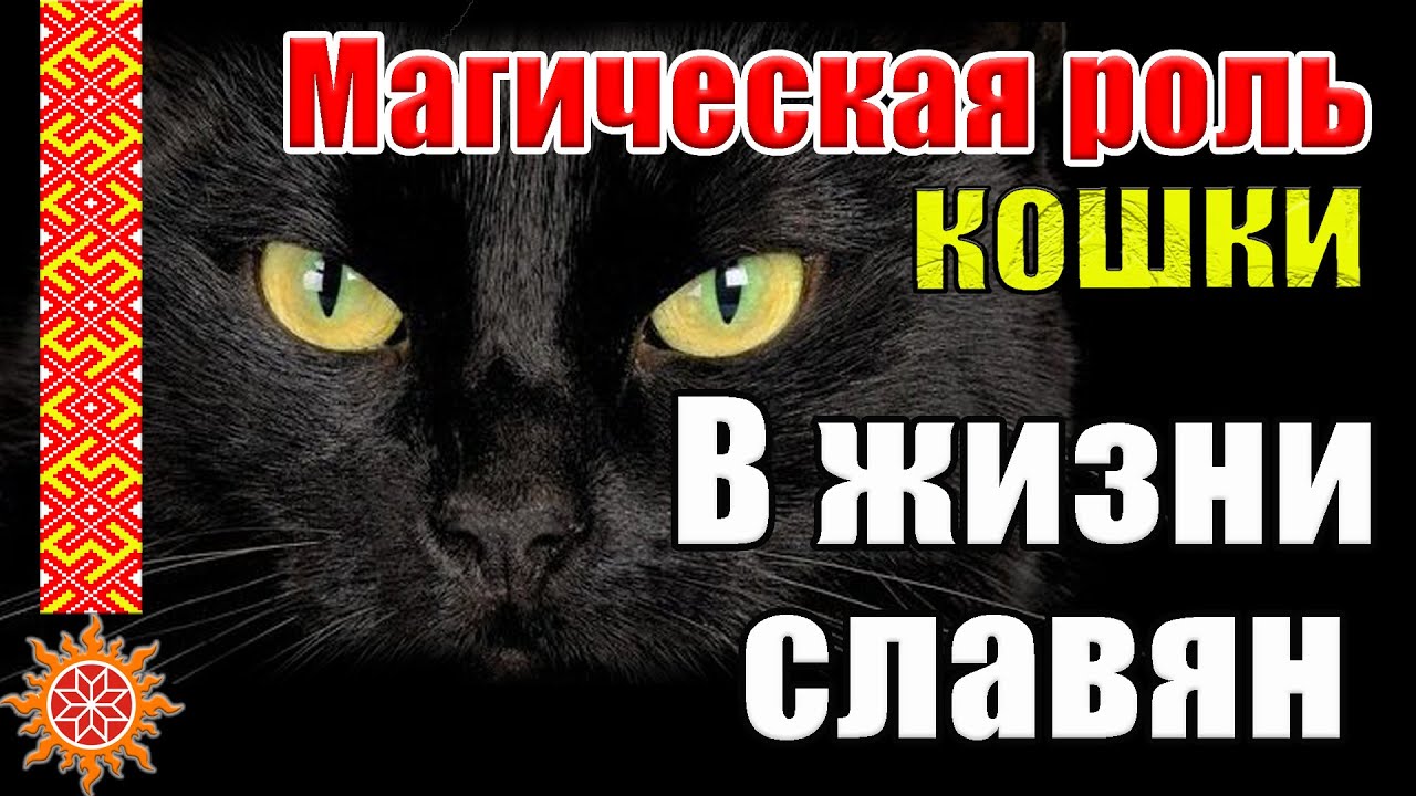 Роль КОТОВ в жизни Славян. Какой смысл в себе несет слово КОШКА?