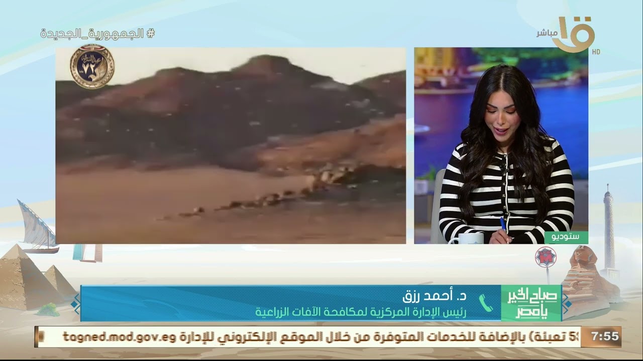 بعد دخول الجراد لمصر من جانب الحدود السودانية.. جهود مكثفة للقضاء عليه ومخاطره يوضحها د. أحمد رزق