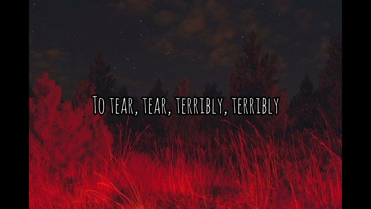 Sparkbird // November (Lyrics)