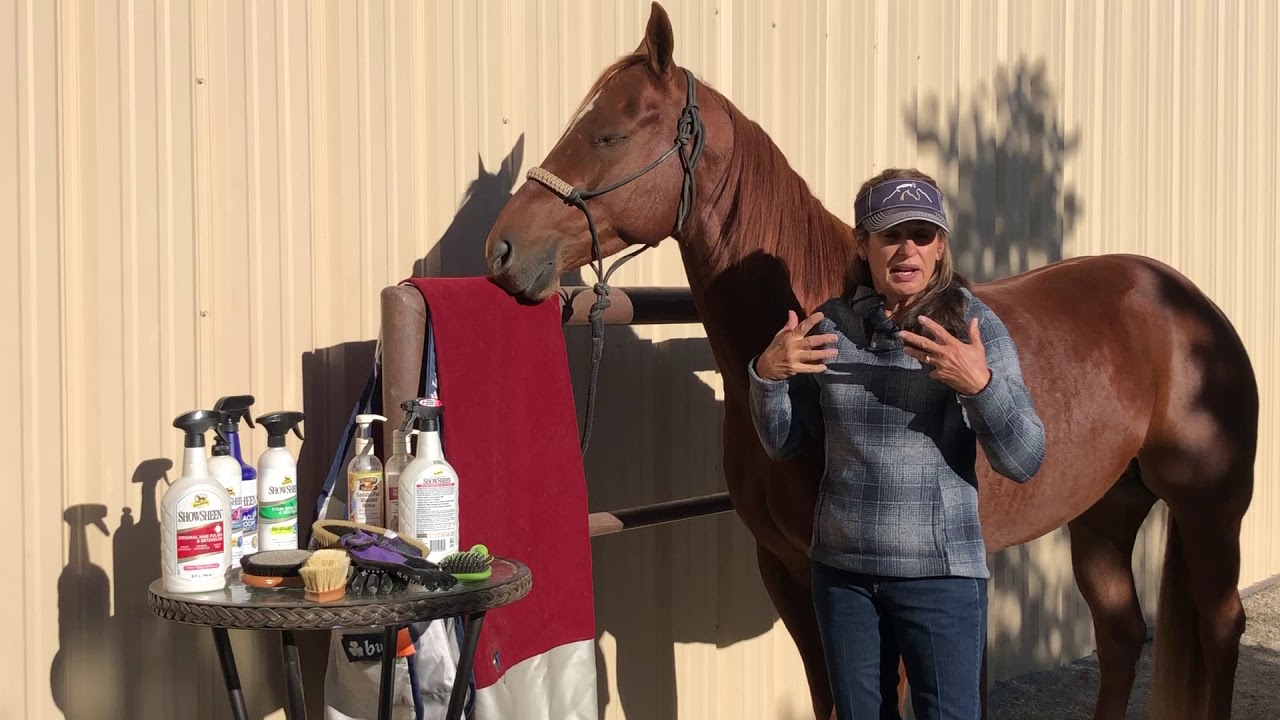 Julie Goodnight-- reducing static shock when blanketing