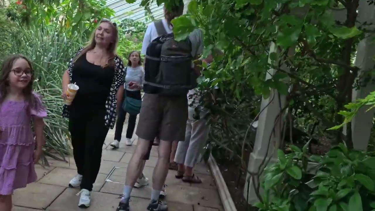 Inside the Temperate House at Kew Gardens: World’s Largest Victorian Glasshouse! 🌿🏛️