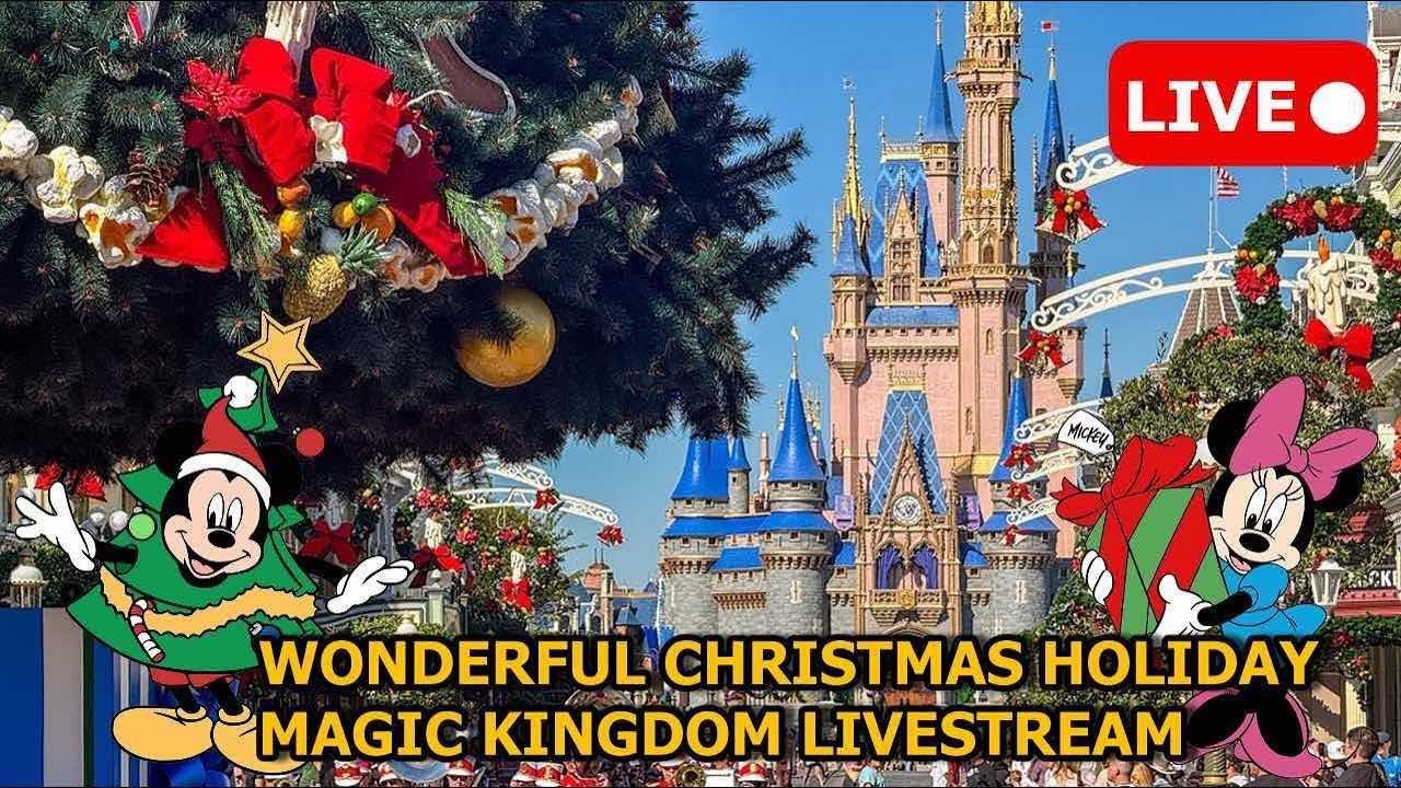 Happy Birthday Nan! Let’s Celebrate Together at WDW Live!🎄✨