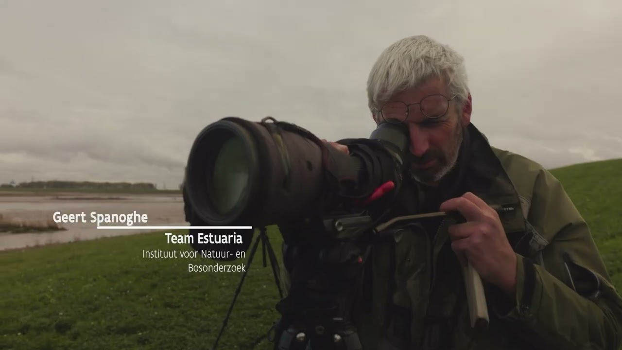 Razendsnelle natuurontwikkeling een jaar na de ontpoldering van het Hedwige-Prospergebied