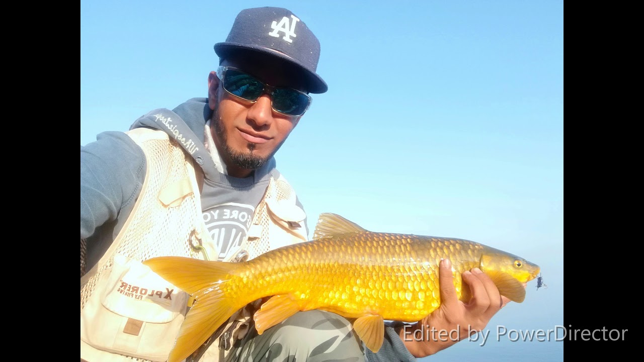 Sterkfontein Dam fly fishing 2018