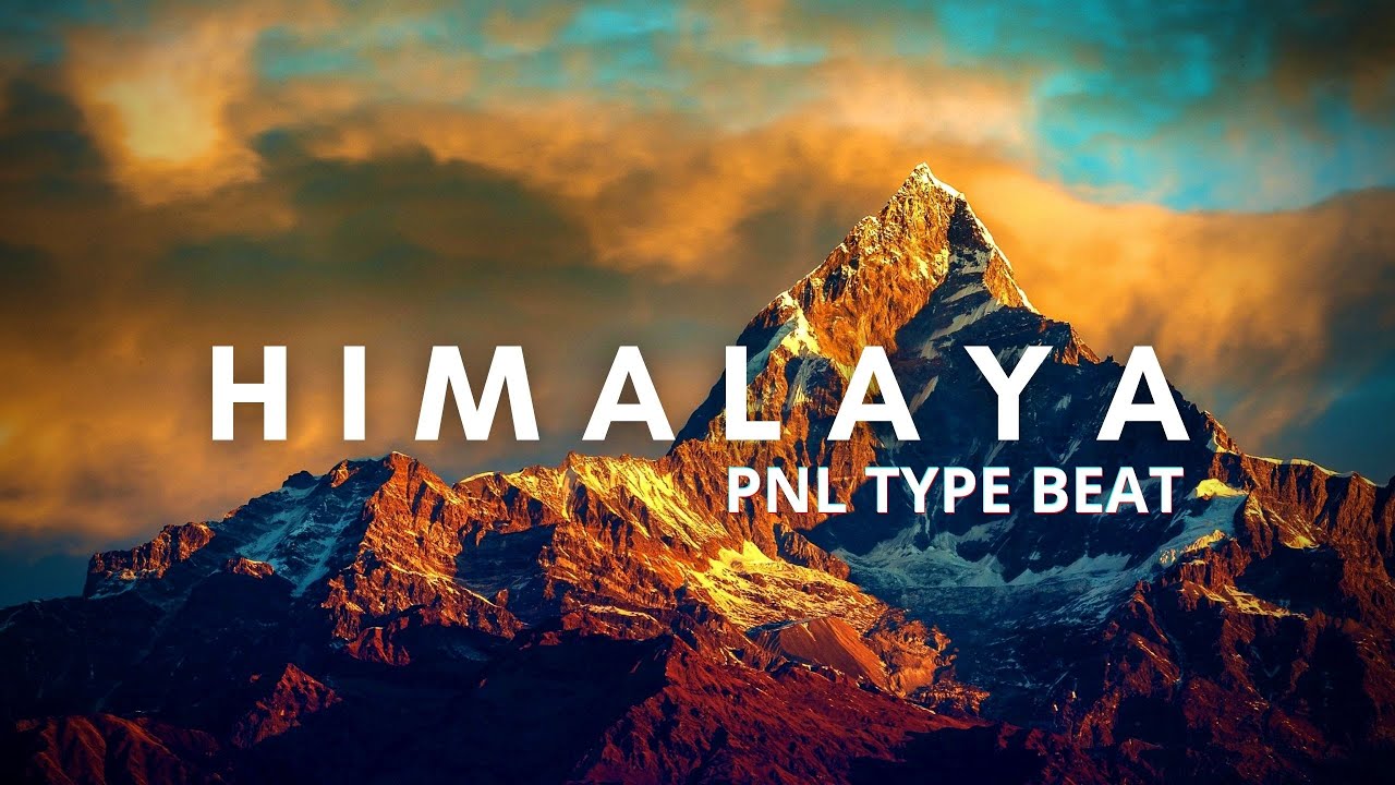 [FREE] PNL Type Beat - 