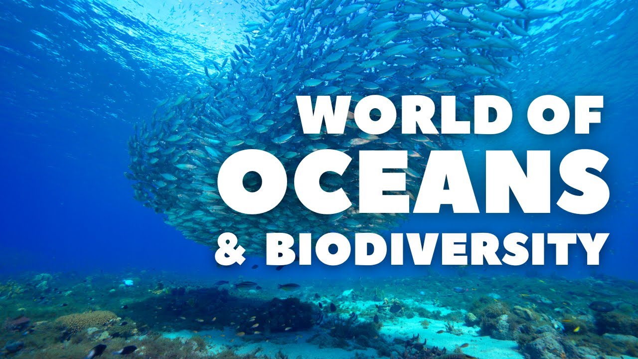 The complex World of Oceans and Biodiversity - Part 1