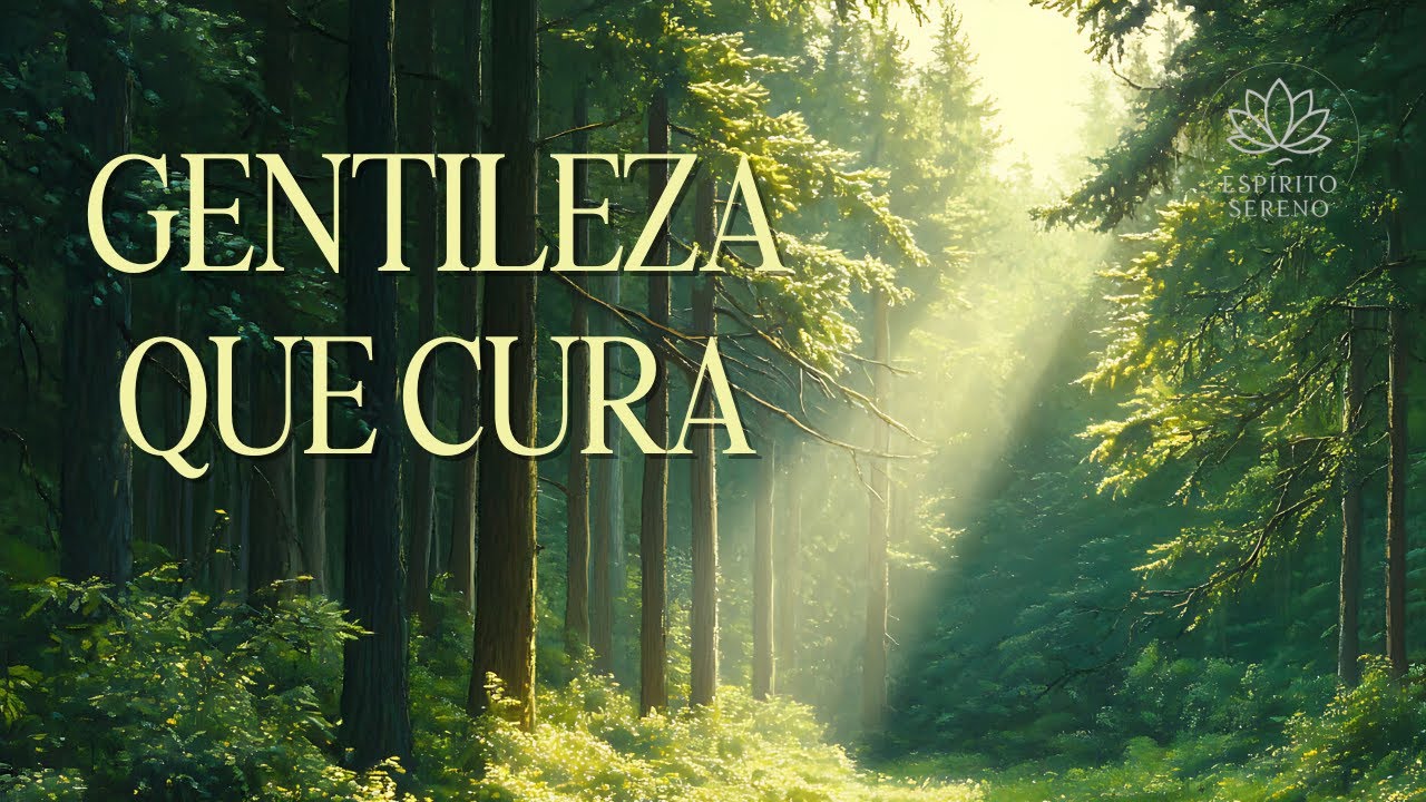 O Poder da Compaixão — Uma Meditação para Acolher, Curar e Humanizar