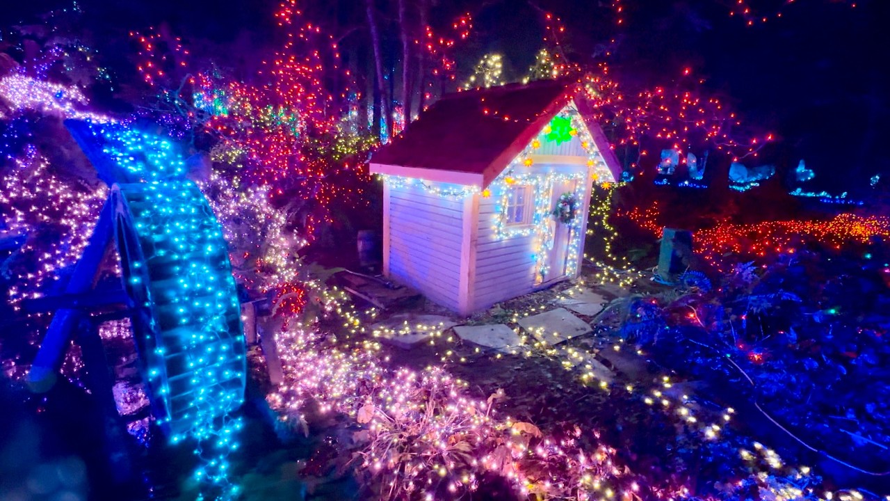 [4K] 2024 Vancouver Bright Nights In Stanley Park Christmas Train ASMR