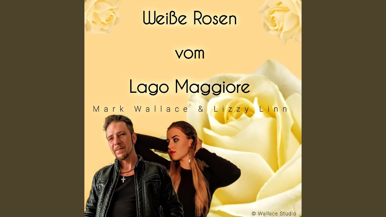 Weiße Rosen vom Lago Maggiore