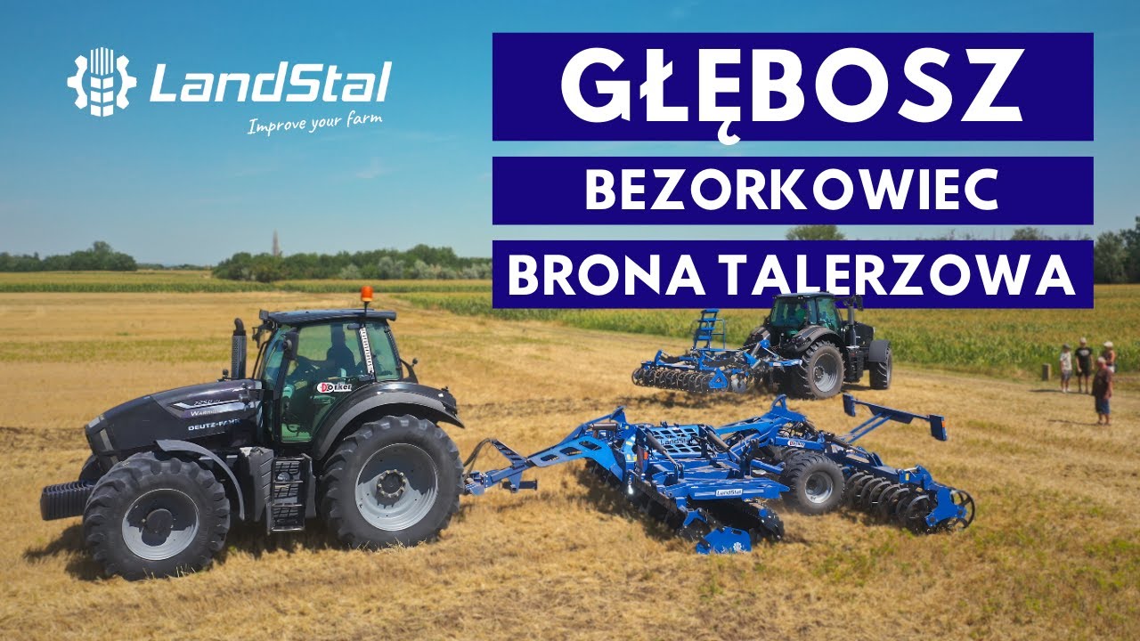 TALERZÓWKA, GŁĘBOSZ I BEZORKOWIEC NA WĘGRZECH!