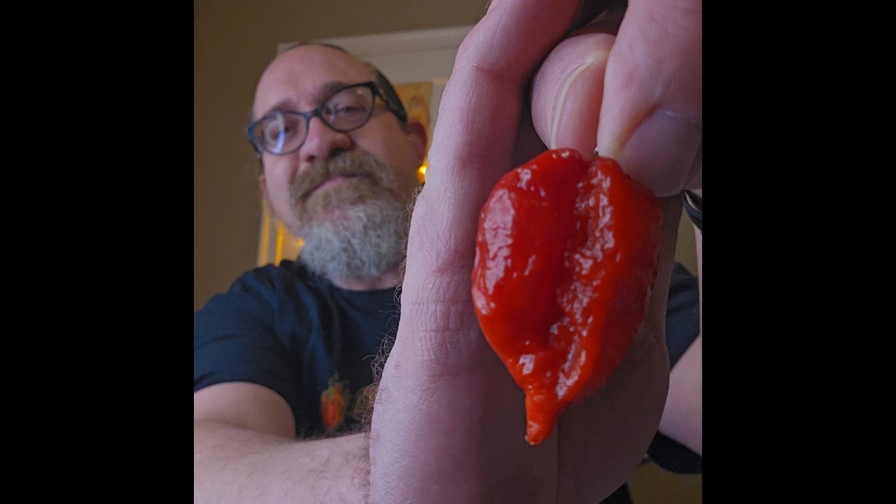 Champagne Like Flavor - Big Heat: Farquatalii F1 Superhot Pepper Review | A Flavor Like Nothing Else