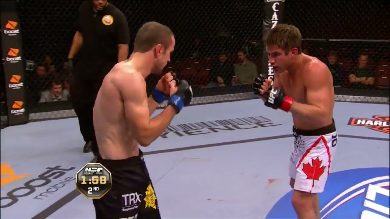 Stout vs Taylor