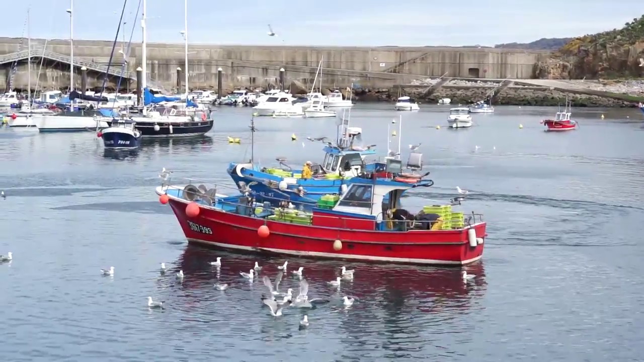 Costera de la caballa (puerto de Cudillero)