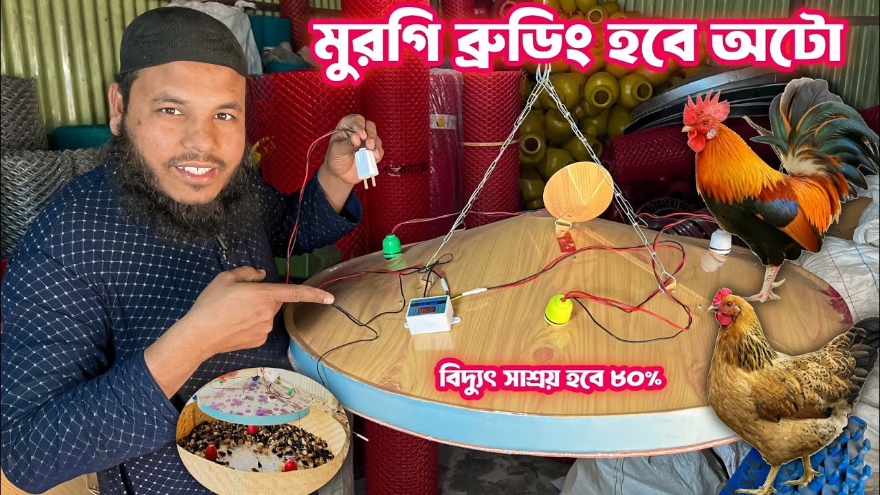 ব্রুডিং নিয়ে আর চিন্তা নেই! কিনুন আধুনিক ব্রুডার ও অটো ব্রুডিং মেশিন