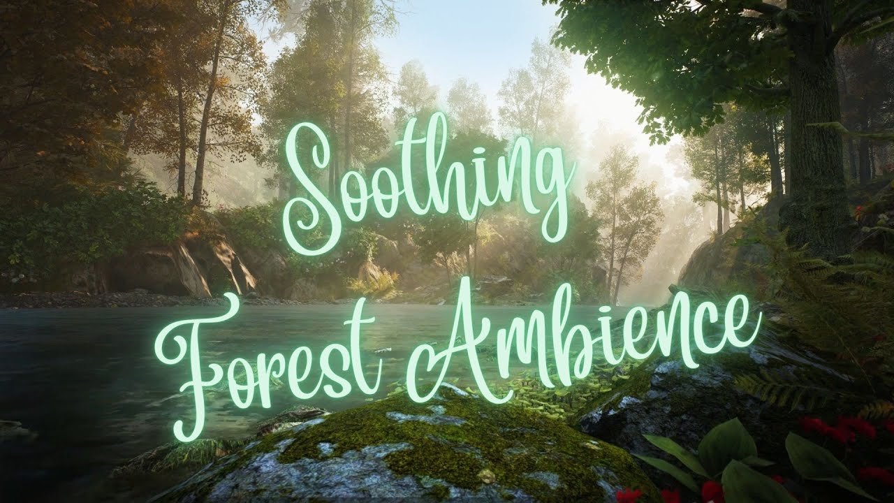 Soothing Forest Ambience ASMR Sensory Break for Autism Anxiety Sensory Processing Disorder and ADHD