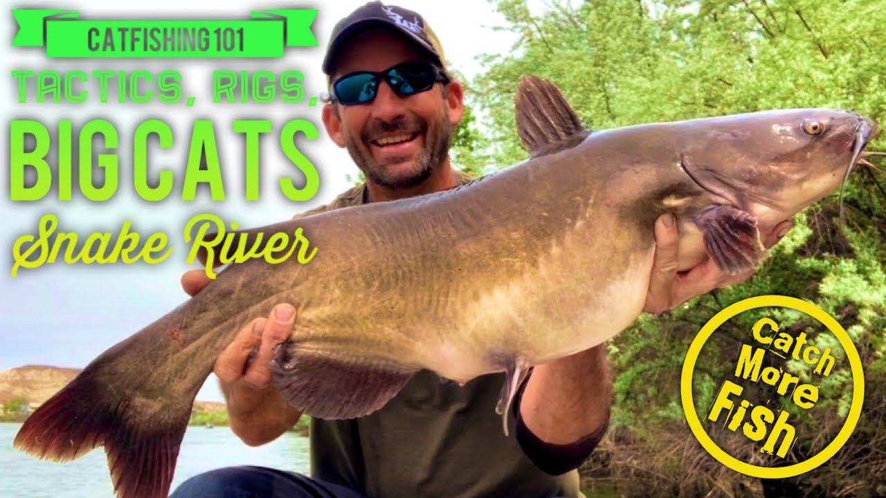 Catfishing 101, The Snake River, Catch More and BIGGER Cats!