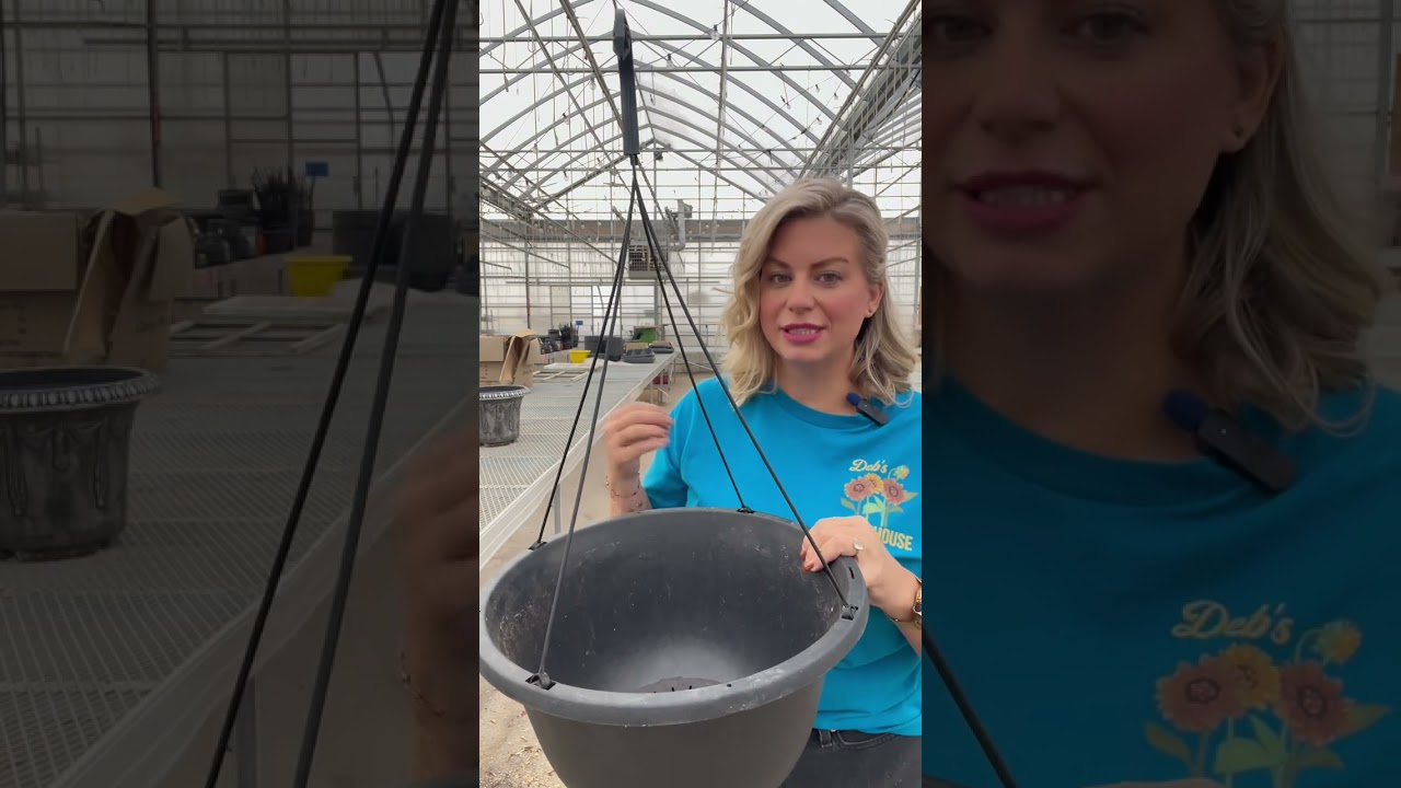 Hanging Basket Styles to Drop Off for Replanting 