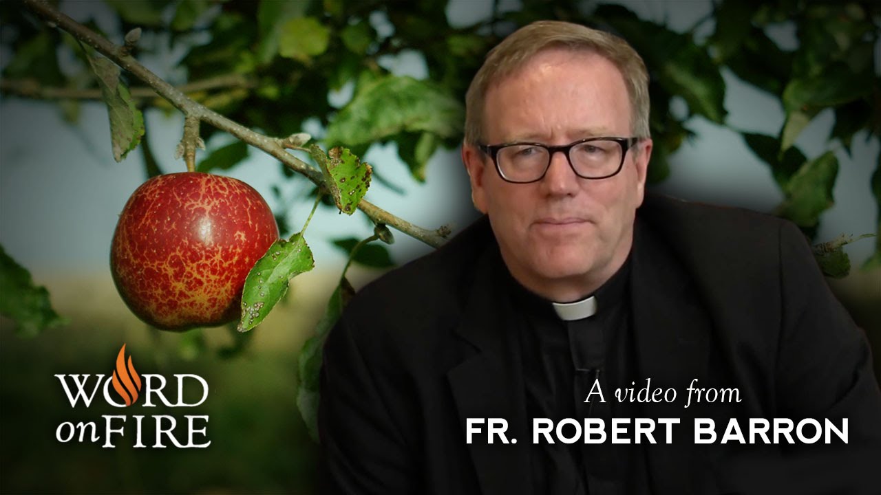 Bishop Barron on Original Sin