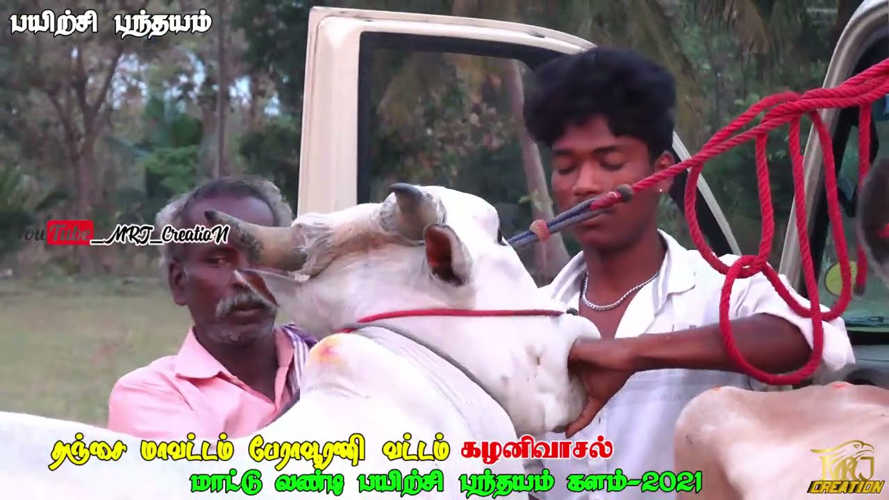 தஞ்சை மாவட்டம் பேராவூரணி பந்தயம் பயிற்சி களம் 2021