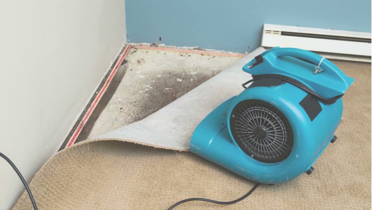 Sewage Cleanup and Water Restoration Santee