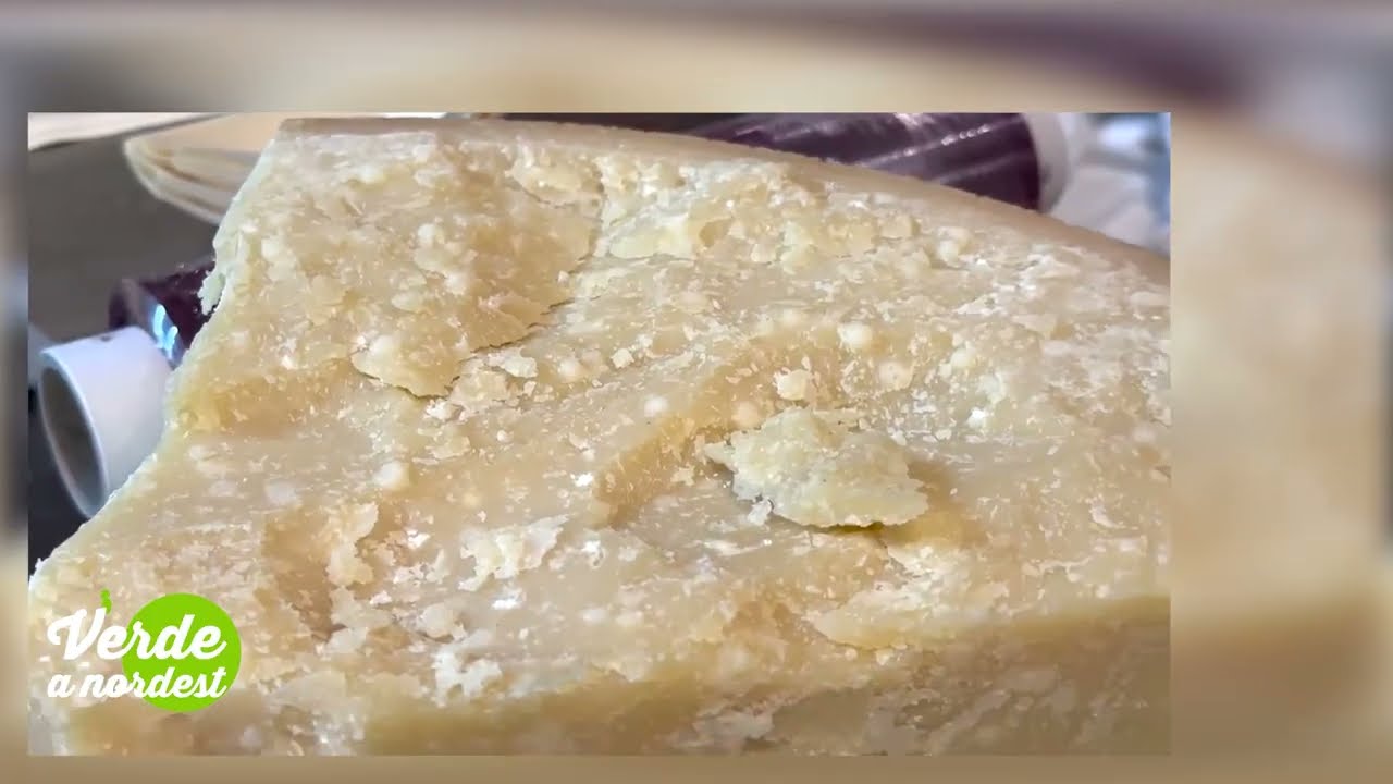 IL GRANA PADANO DOP E LATTERIE VICENTINE CRESCONO INSIEME