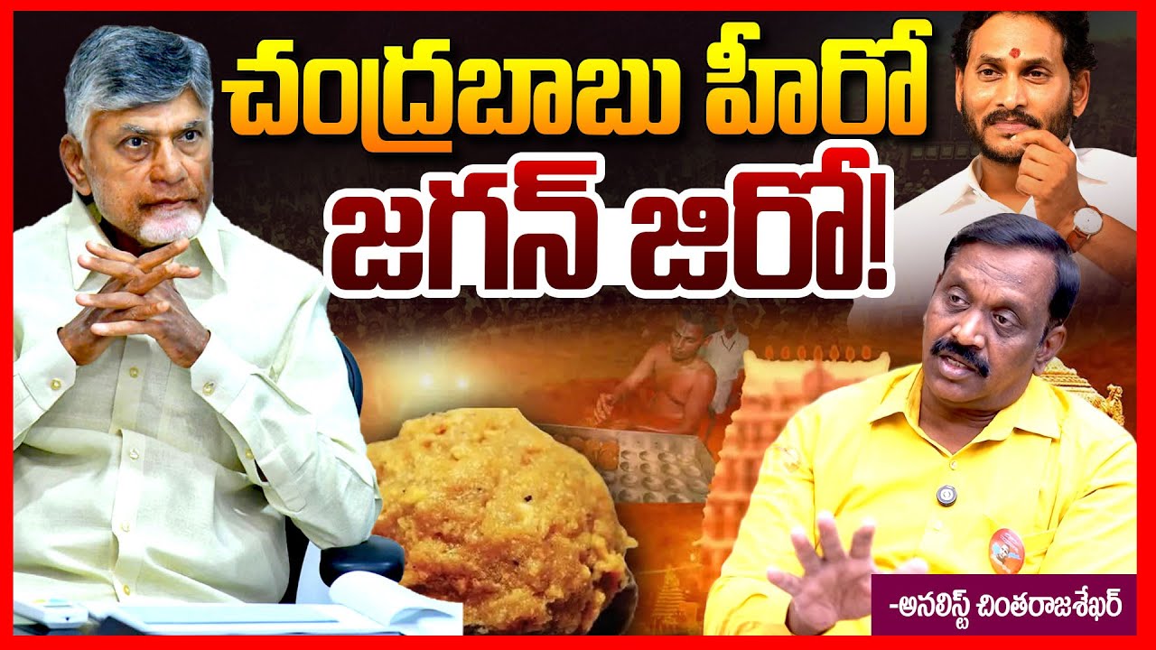 Analyst Chinta Rajasekhar Fires On Chandrababu Over Tirumala Laddu Issue || Ys Jagan || TeluguRajyam