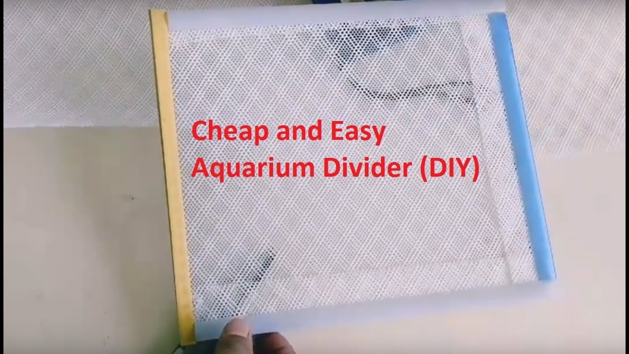 DIY aquarium divider/Fish tank Divider DIY less than $2