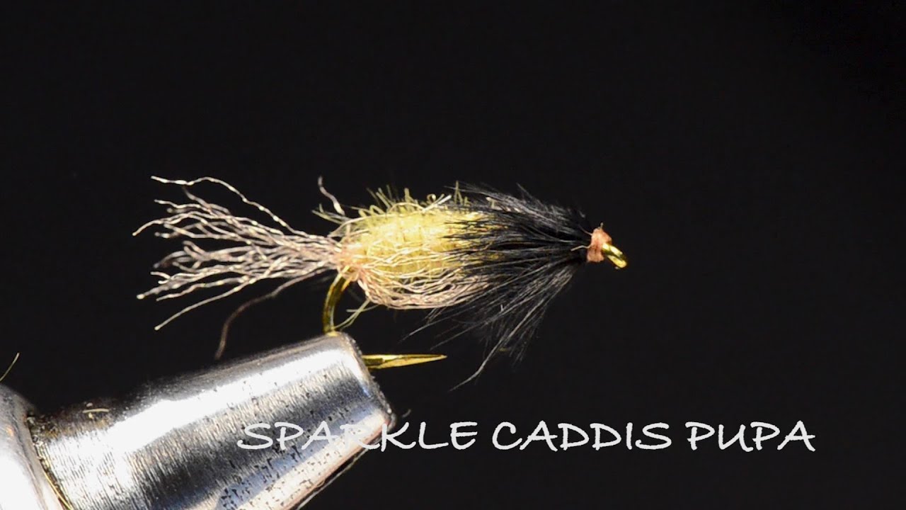 Куколка ручейника Sparkle Caddis от Чарли Крейвена