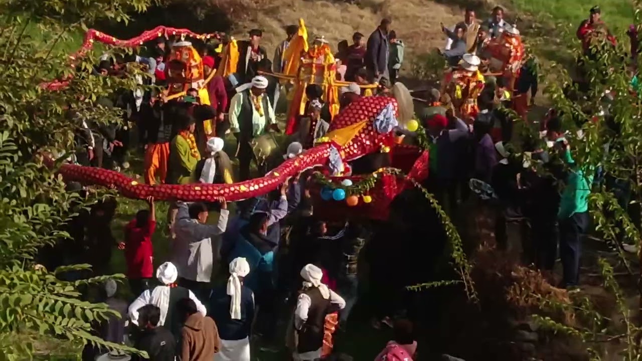 Naga devta ki parastuti me aap sabka swagat shorts video ##