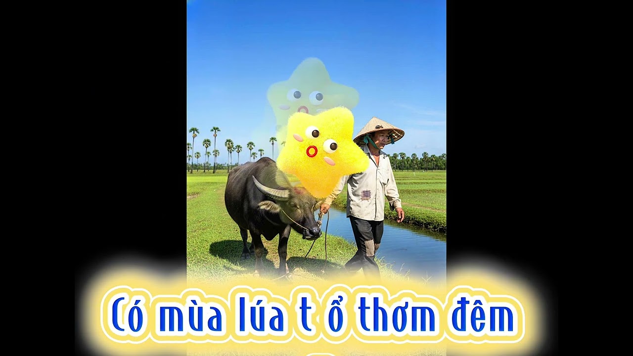 Hoà Phú quê hương tôi 