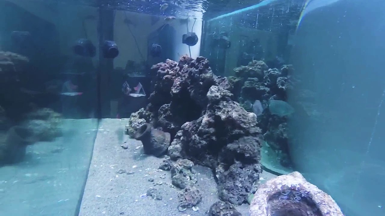 Acquario Mediterraneo 600litri