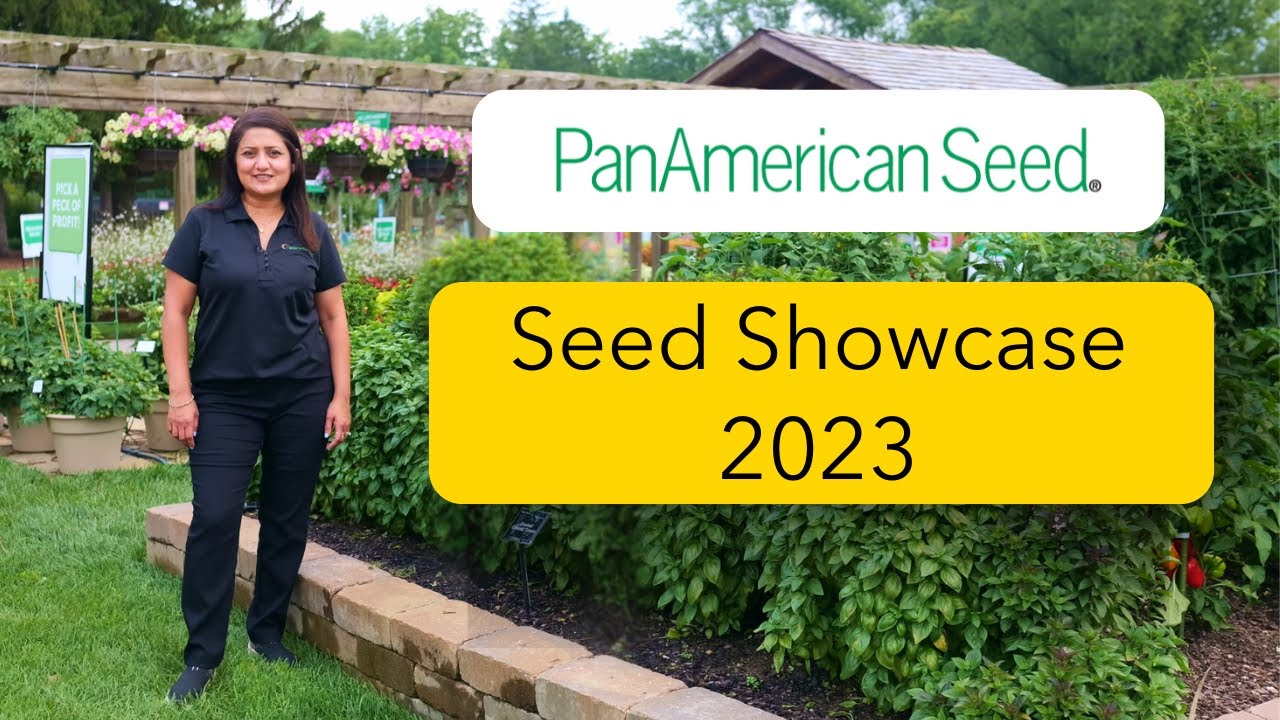Explore the PanAmerican Seed Showcase in The Gardens at Ball 2023