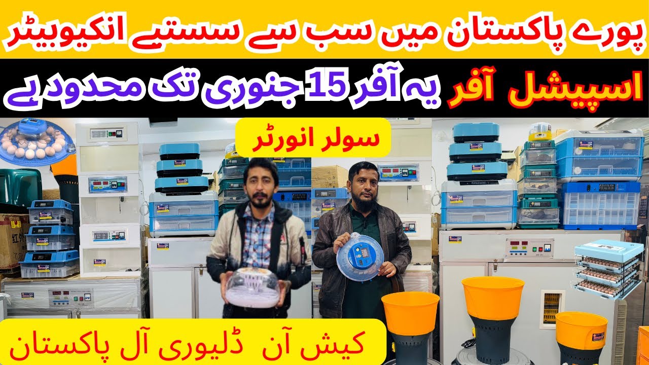 12v Eggs Incubator Machine in Pakistan | Automatic 1000 Eggs incubator | Best Incubator For Eggs