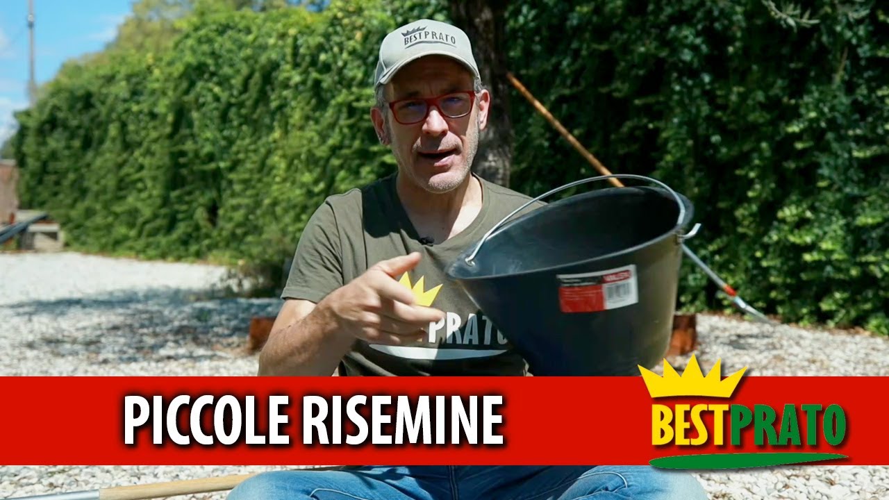 COME RISEMINARE PICCOLE ZONE DEL PRATO ROVINATE