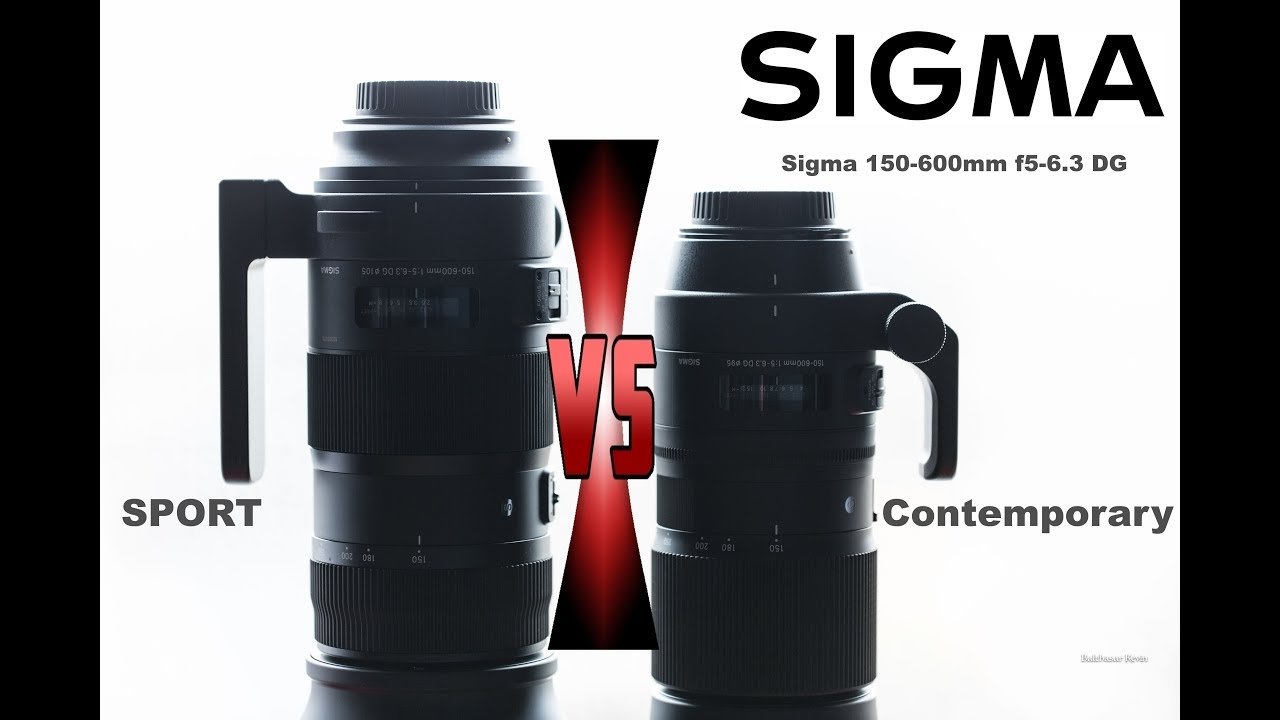SIGMA 150-600mm SPORT ET CONTEMPORARY (TEST) !! FR