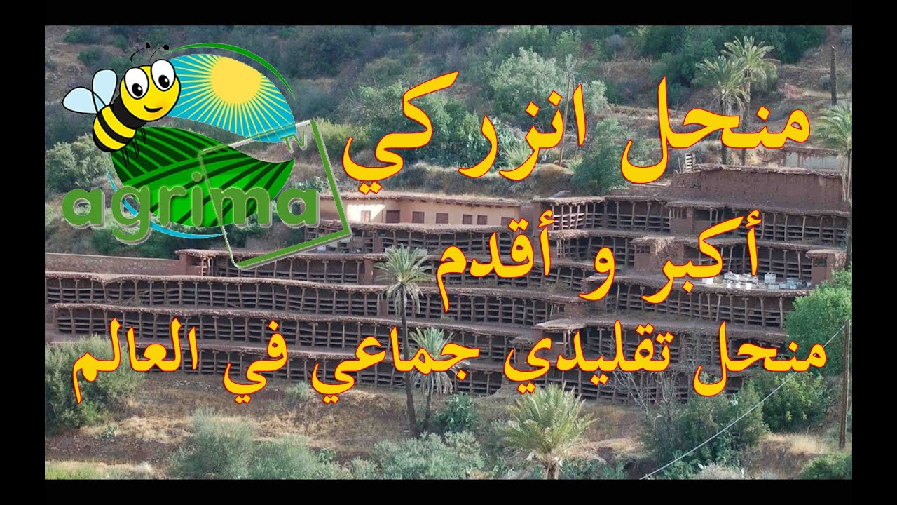 منحل انزركي