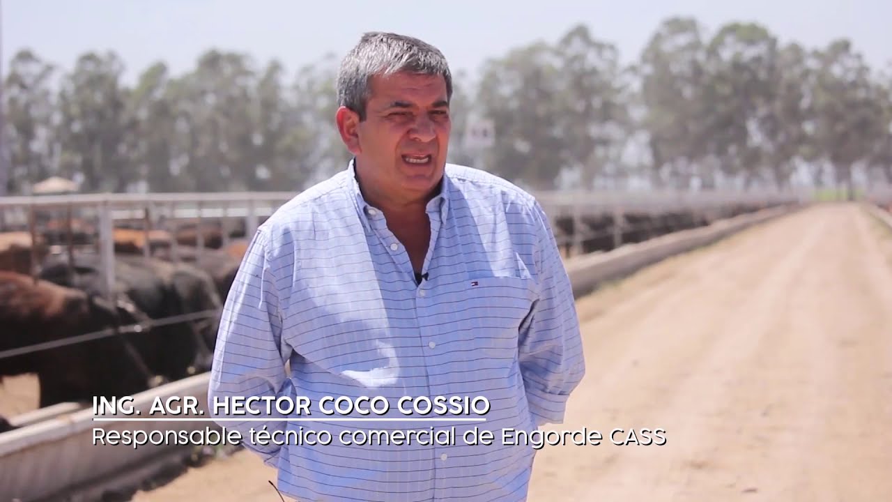 Feedlot