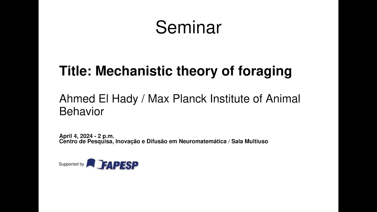 Mechanistic Theory of Foraging [NeuroMat Seminar]