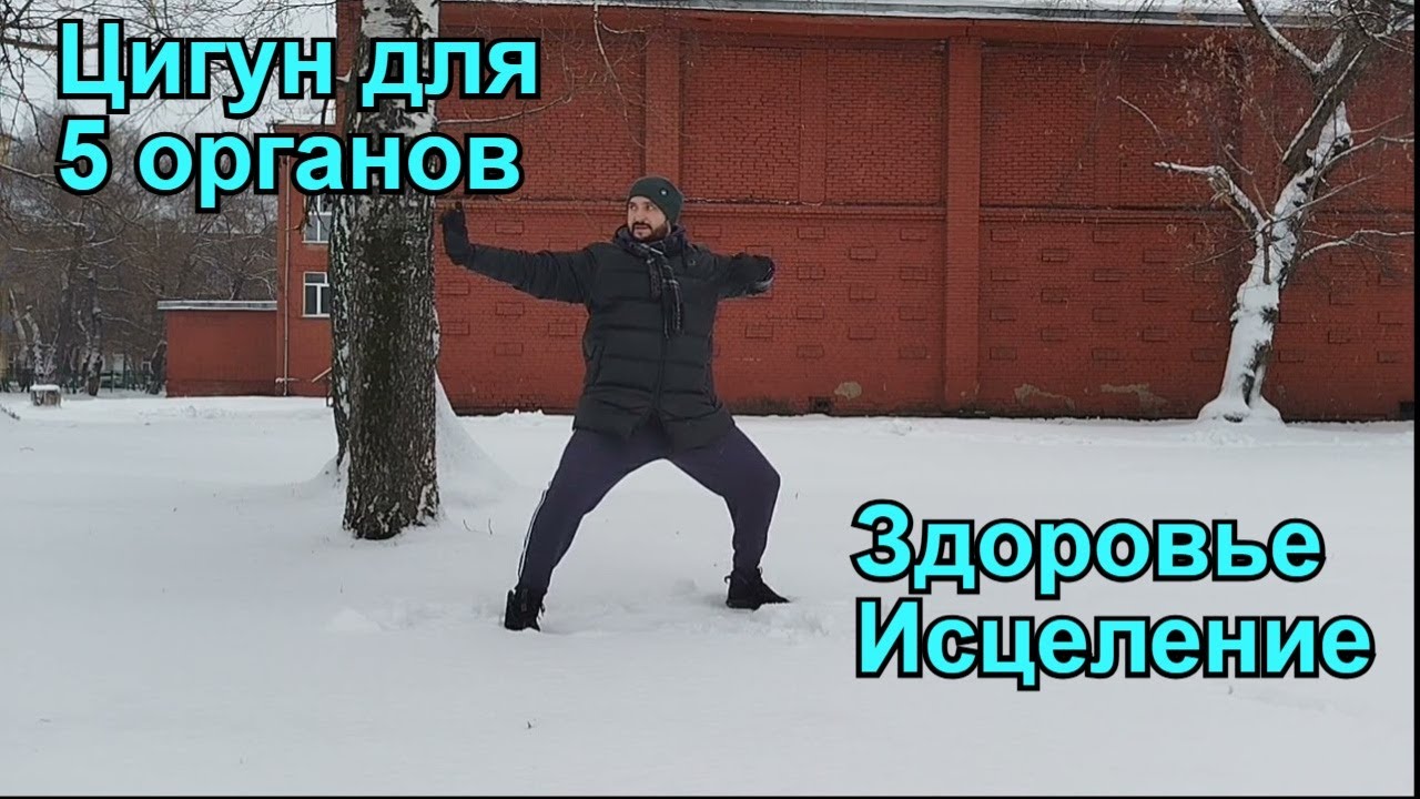Цигун: гимнастика для 5 органов. Здоровье и исцеление